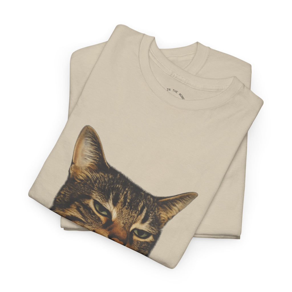Cat Smoking
