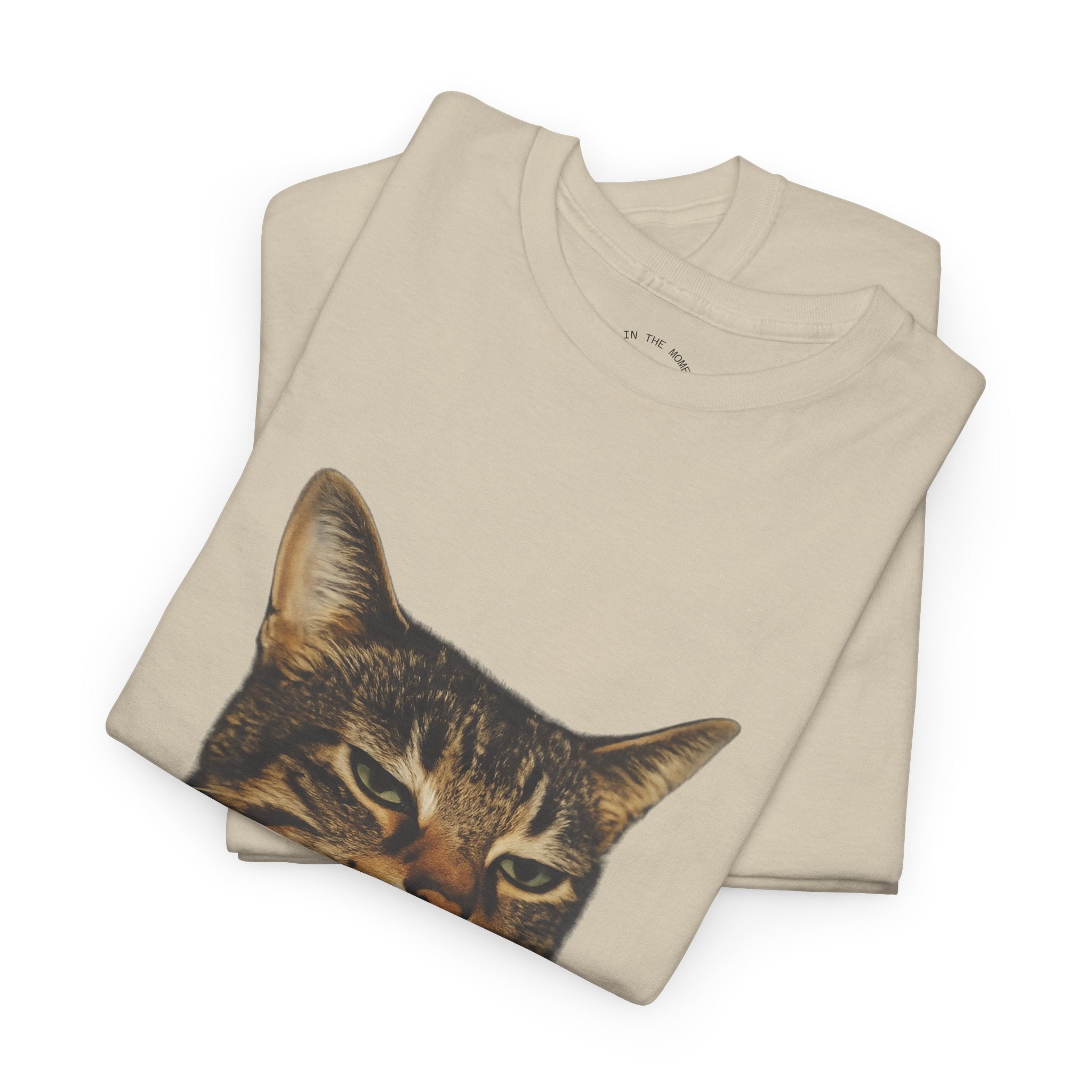 Cat Smoking