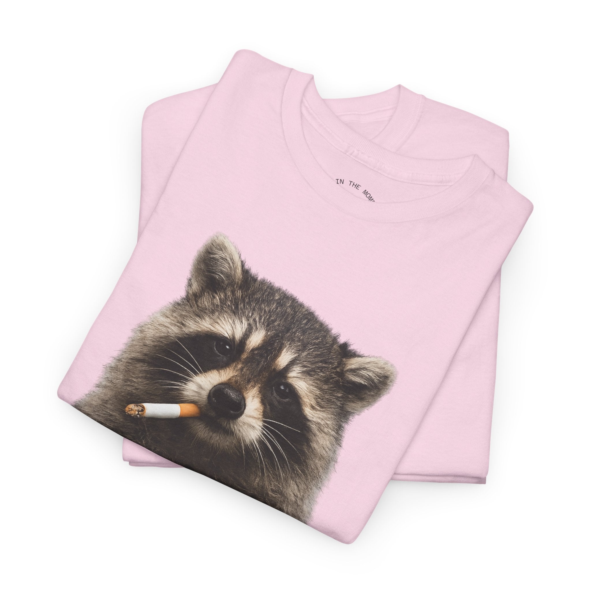 Raccoon Smoking
