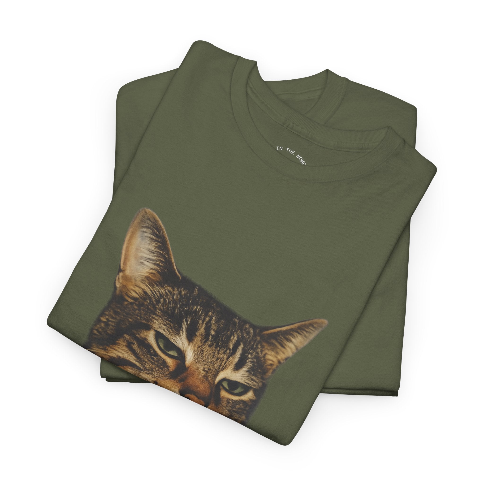 Cat Smoking