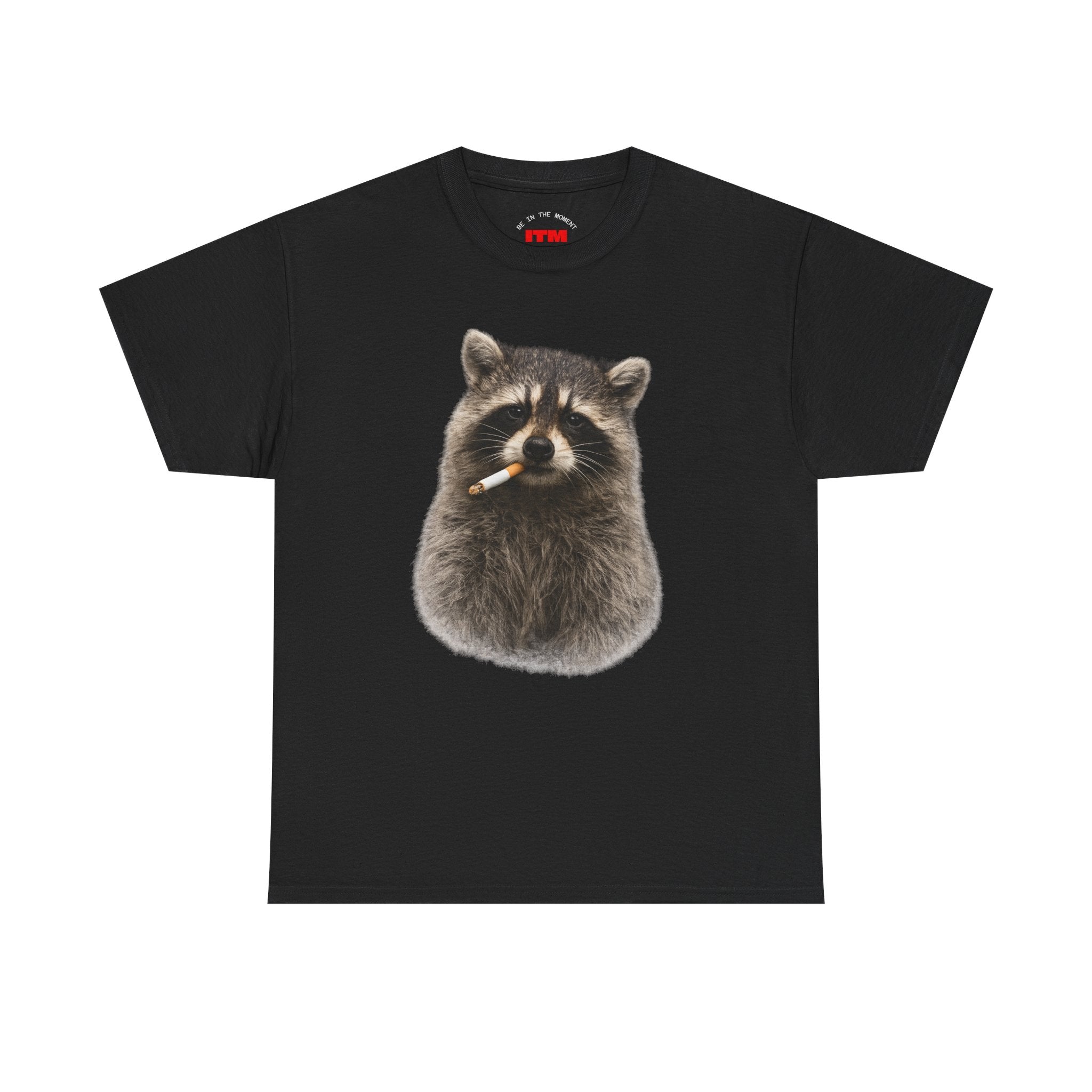 Raccoon Smoking