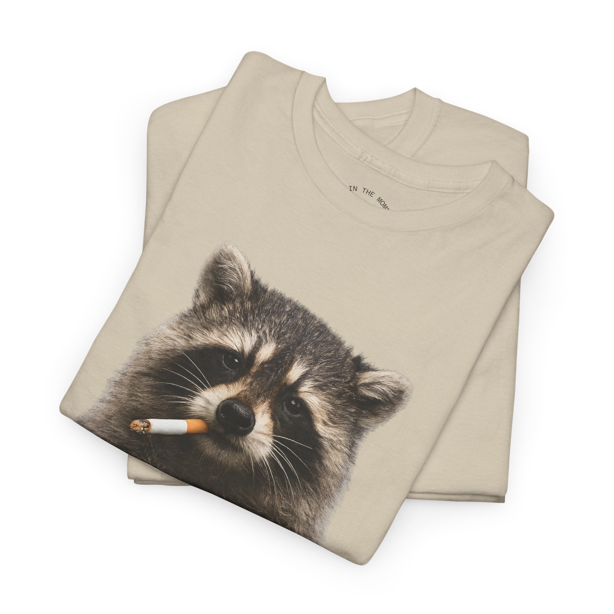 Raccoon Smoking