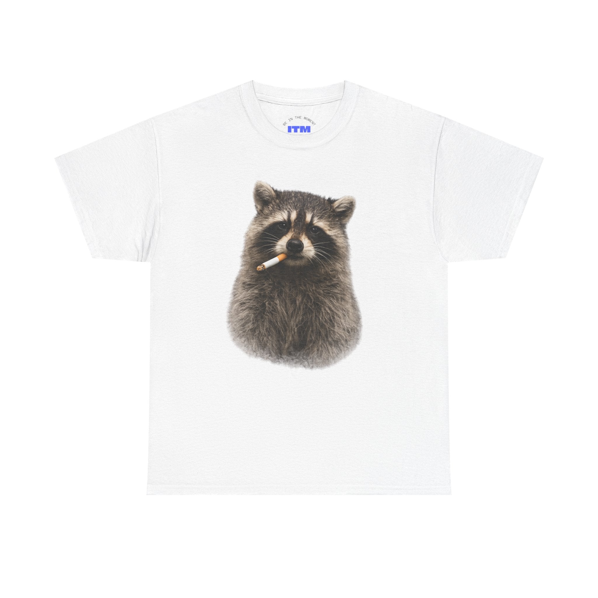 Raccoon Smoking
