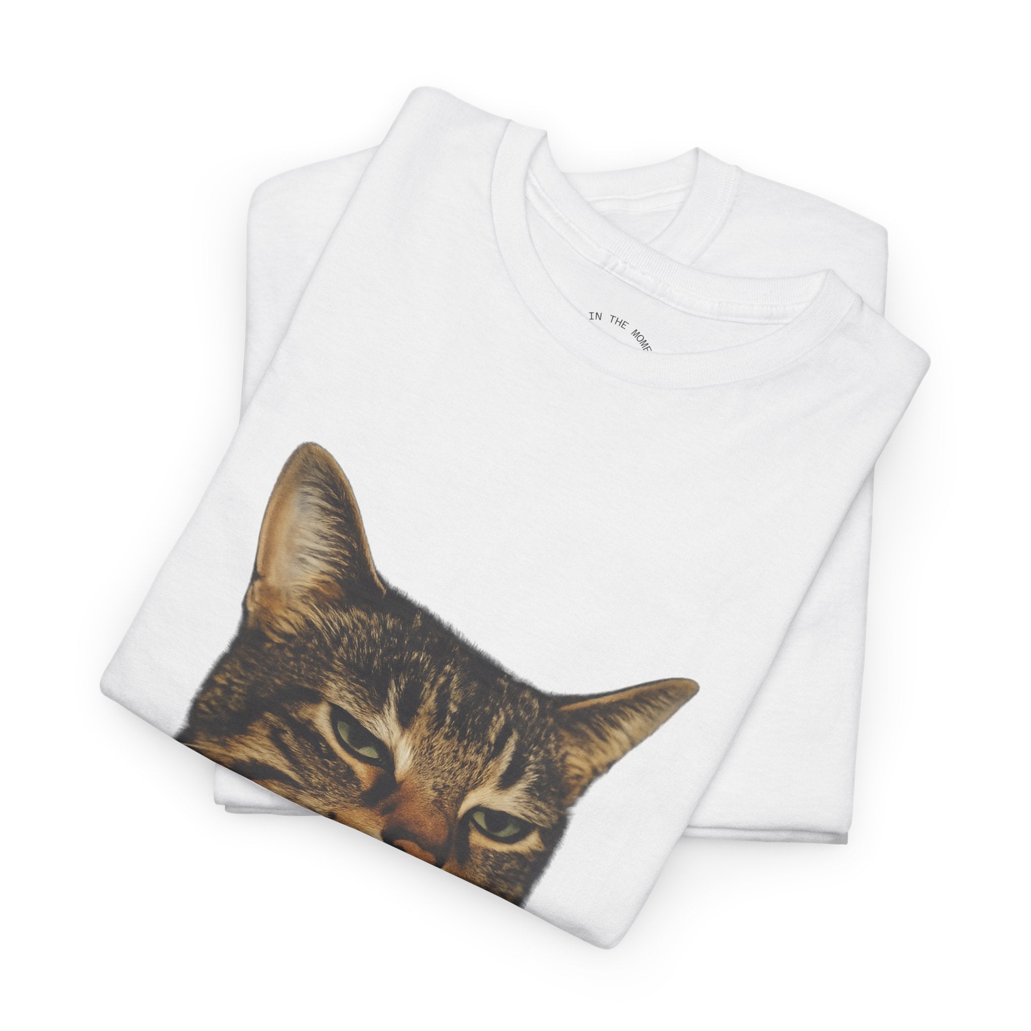 Cat Smoking