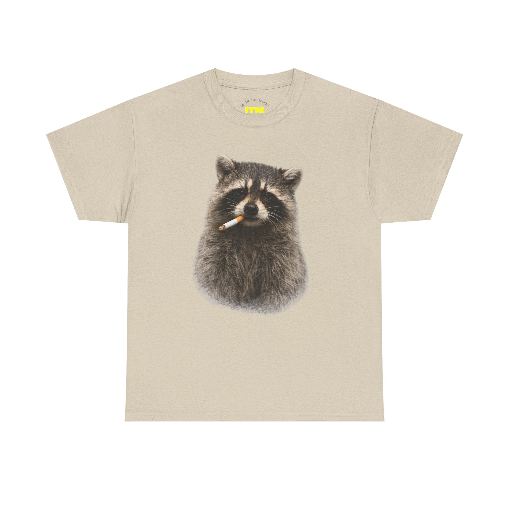 Raccoon Smoking