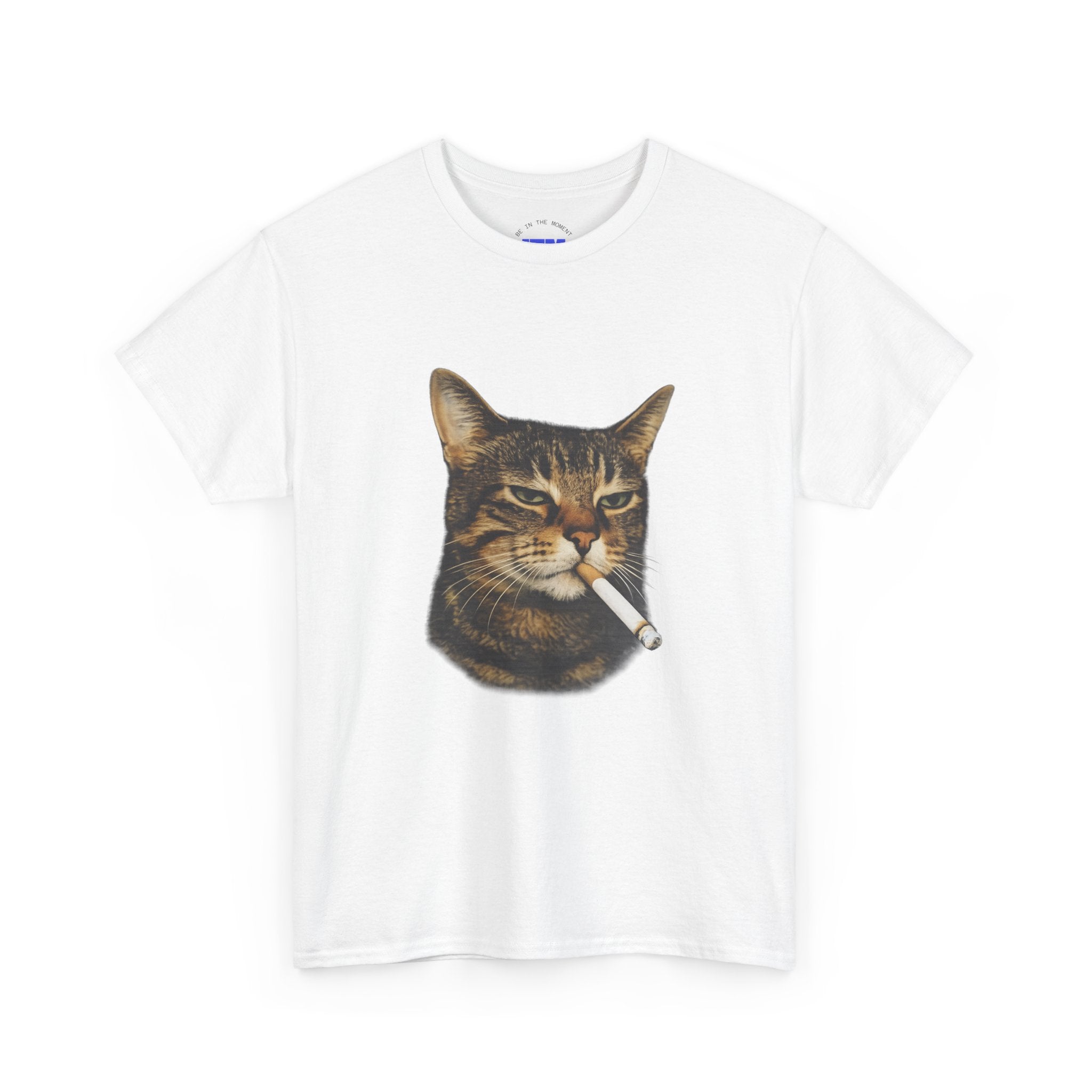 Cat Smoking