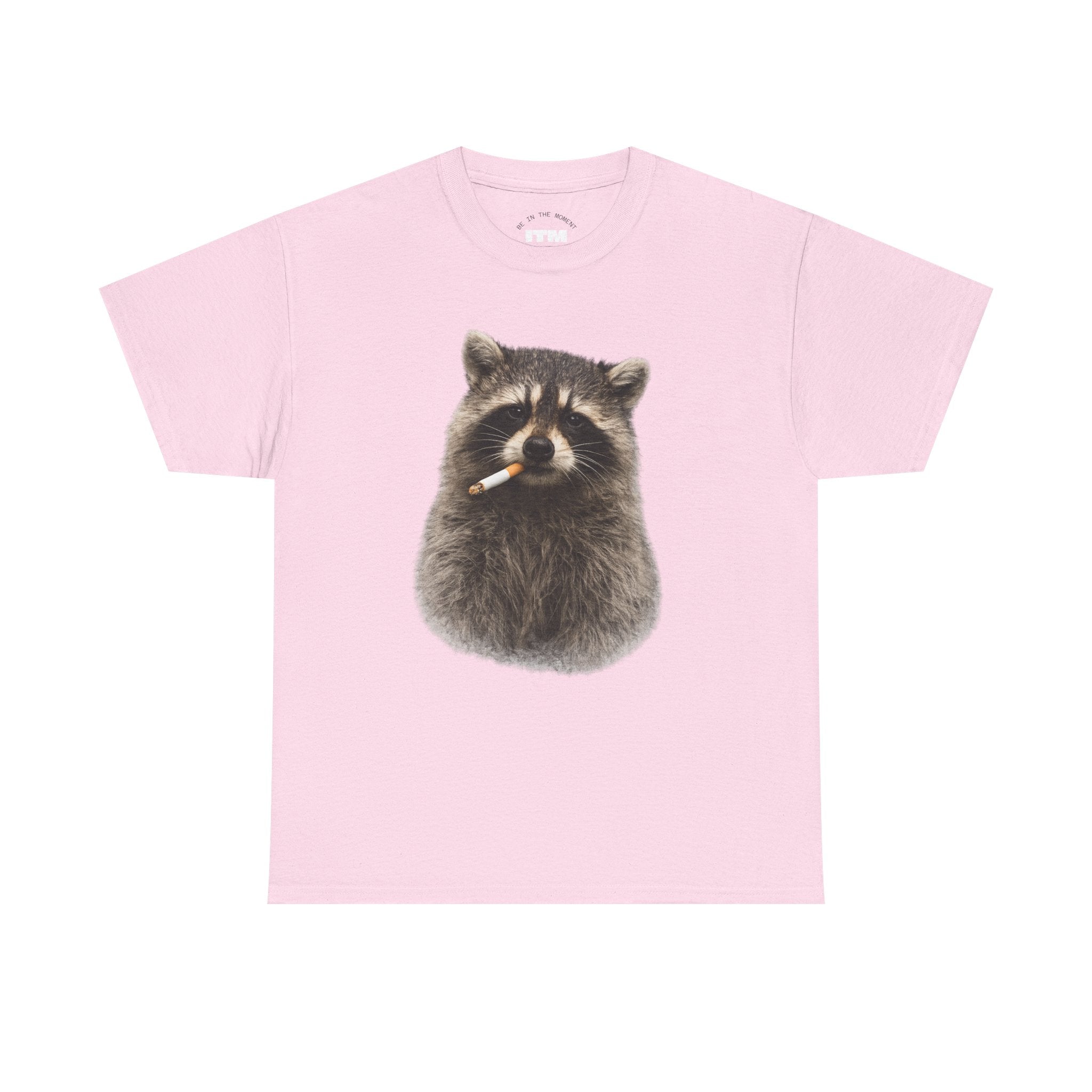 Raccoon Smoking