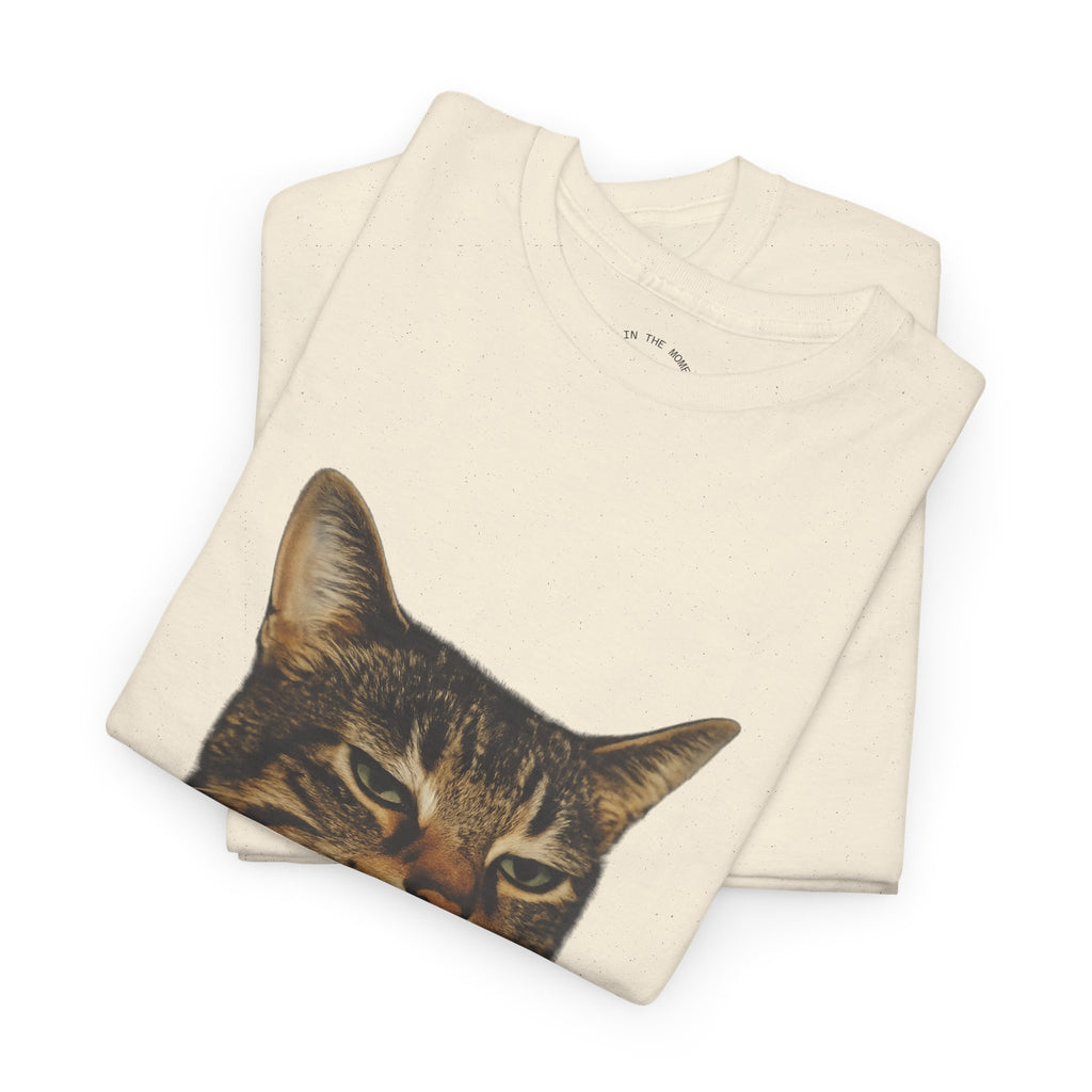 Cat Smoking