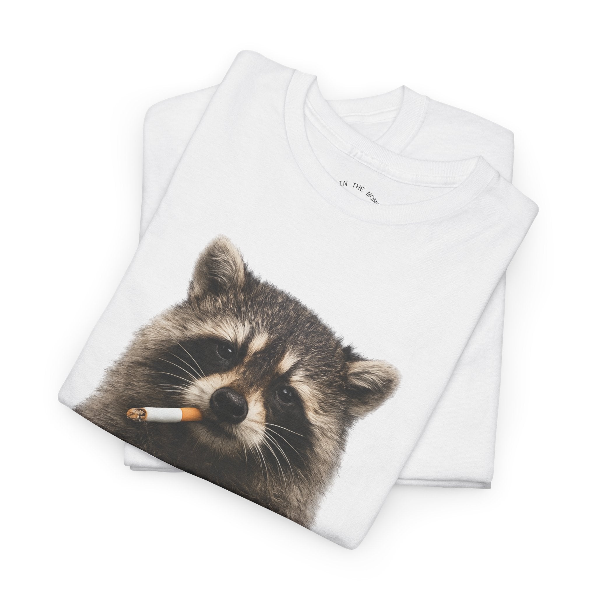 Raccoon Smoking