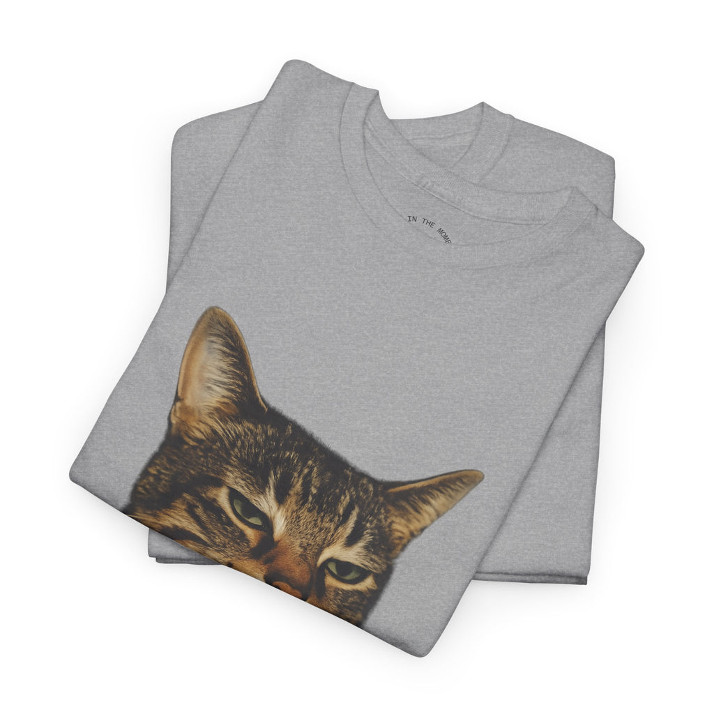 Cat Smoking